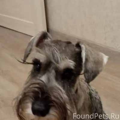 🆘🆘🆘До сих пор не найден‼️ Влад...