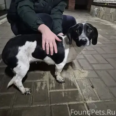 21.12. около 21:00 на...