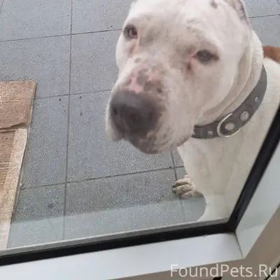 245 квартал,район универсам, о...