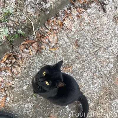 Кронштадт🆘❗️❗️❗️ Вот такое нов...