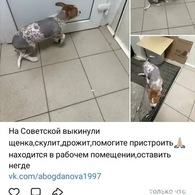 Серпухов, Московская область. ...