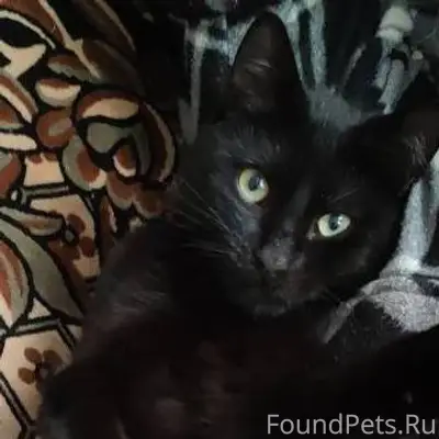 Добрый день 19 декабря в район...