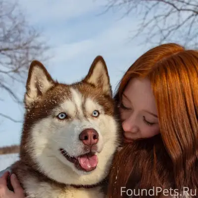Потерялась собака, Откликается...