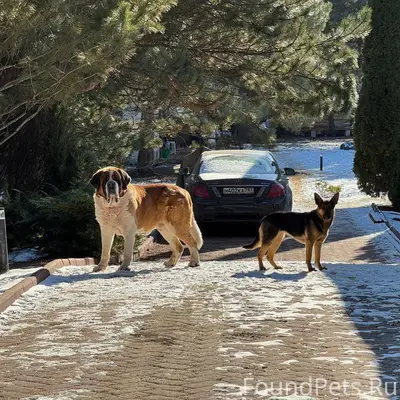 Люди добрые! Сегодня через нез...