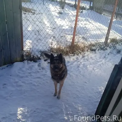 Яхрома добрый вечер, чья потер...