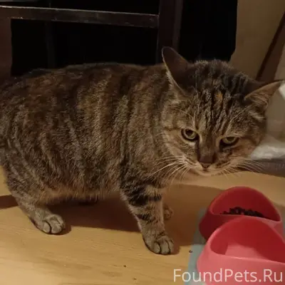 На территории фабрик Красный О...