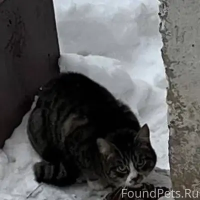 В районе ДК Россия и во...