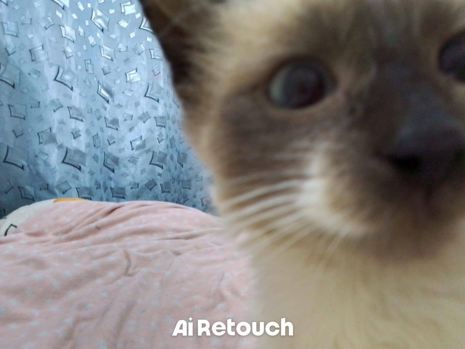 Срочно! Рабочий посёлок Тума п...