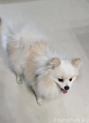 Сегодня 23 декабря, на проспек...