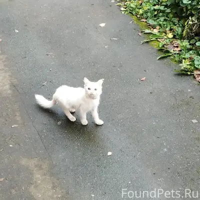 К последнему подъезду по адрес...