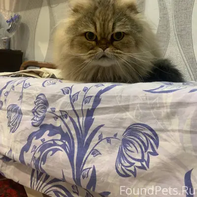 Краснооктябрьский район, Волго...