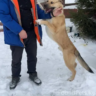 Найден в поселке Приуральский....