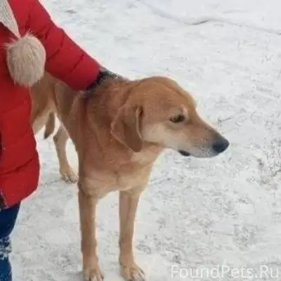 Всех приветствую! Вчера пример...