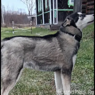 Уважаемые жители Вознесенского...
