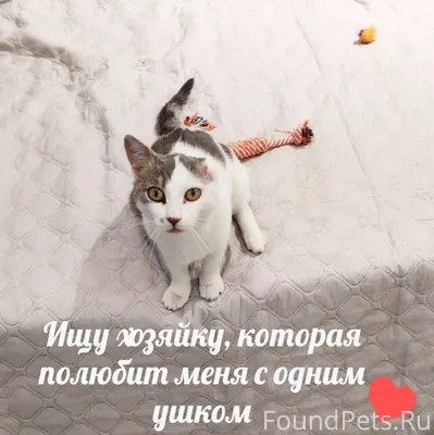 Помогаю информационно... Это п...