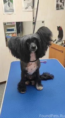 #зоринанайдись #вернитезорину ...