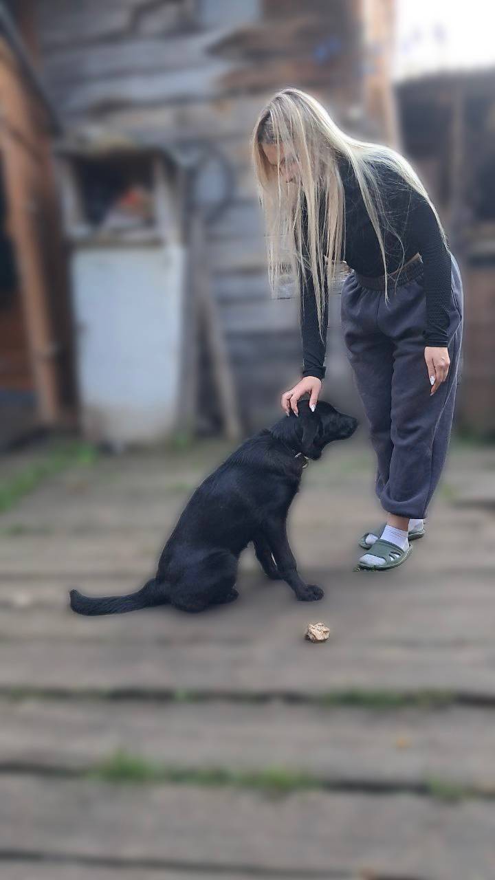 Пропала собака , черного окрас...