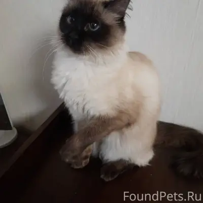 Вчера в районе пересечения ули...