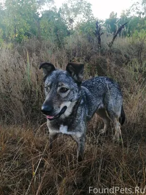 Друзья, здравствуйте! Краснода...