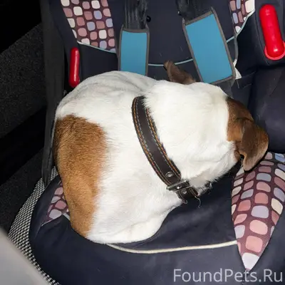 #Черныйсписок #Ржев Найдена со...