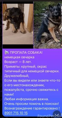 Неприятные новости. Пропал мой...