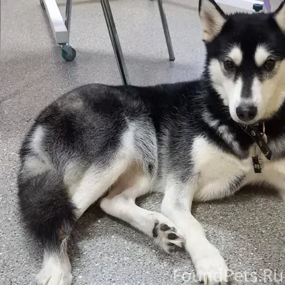 СРОЧНО!!! Ранним утром на алле...