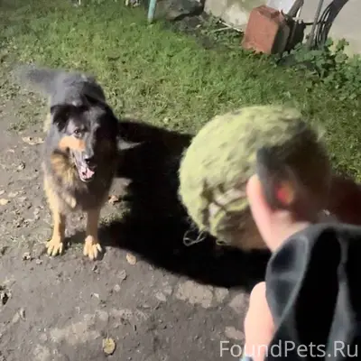 Помогите найти🙏 Пропала собака...