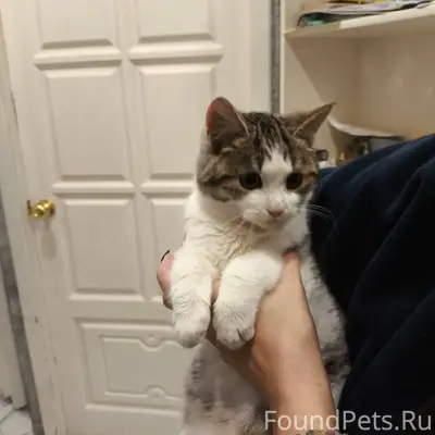 По улице Шлюзовая, возле 18 до...