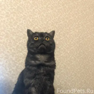 Доброго времени суток! 21 дека...