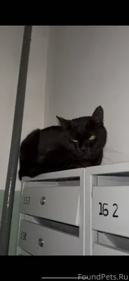 Район Детская (Ивантеевка) Най...