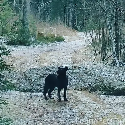 Всем здравствуйте! Была проезд...
