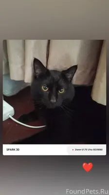 Улица Жосу, Русанова, округ ва...