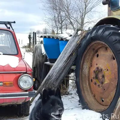 Здравствуйте! Помогите пожалуй...