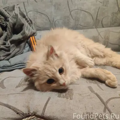 Сегодня в 7.30 утра был...