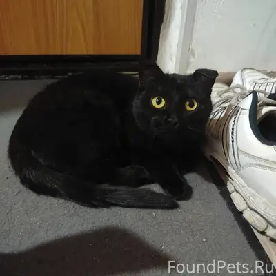 На остановке "площадка" был на...