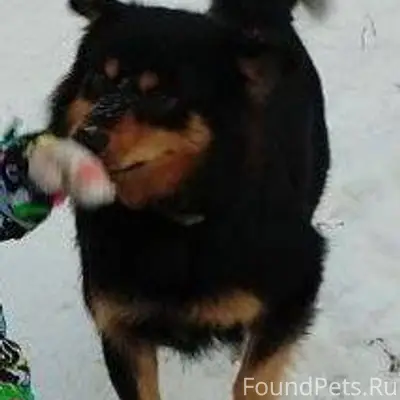 🆘Помогите пожалуйста найти🆘 Ир...