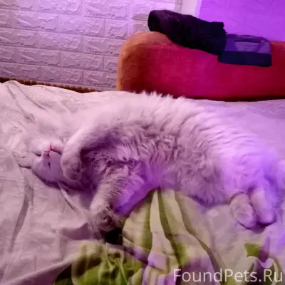 Добрый вечер,драгоценные друзь...