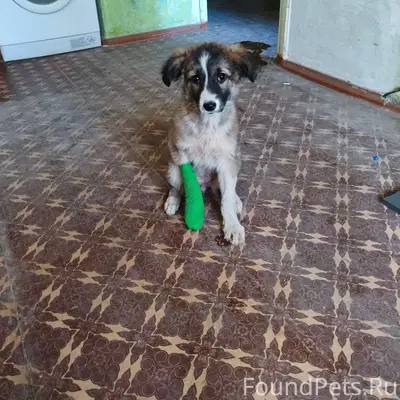 Здравствуйте. 24.12.25 на Вату...