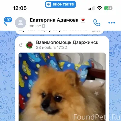 Ребят прошу вашей помощи , дав...