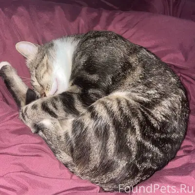 ПРОШУ МАКСИМАЛЬНЫЙ ОТКЛИК🙏🏻🙏🏻 ...