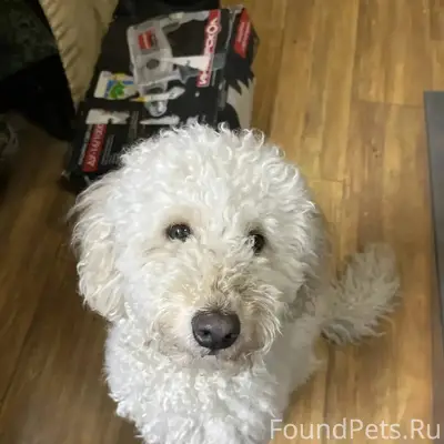 Сбежала 25.12.25г с военного.....