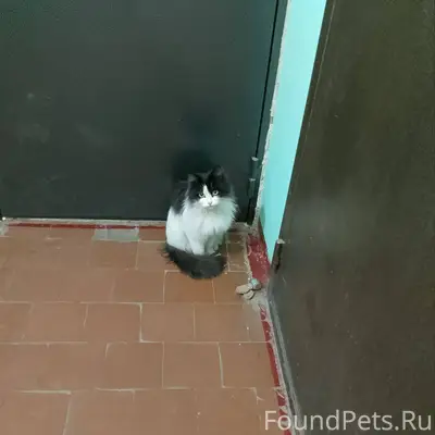 Доброе утро! Помогаю информаци...