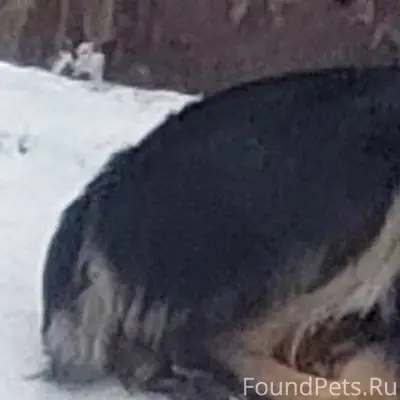 Здравствуйте. 21.12 в 19:00...