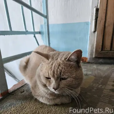 25 декабря в районе школы №40....