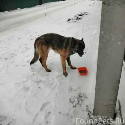 Здравствуйте! п. Горняцкий. Во...