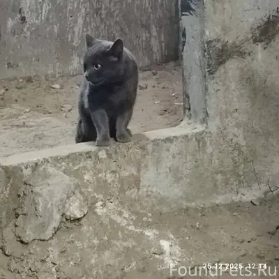 Репост! 🙏 На ул. Газовиков в.....