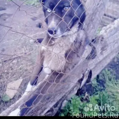 💥Пусть свершится чудо, Нора на...