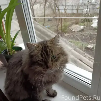 🆘⚡️❗️ Помогите найти ❗️⚡️🆘 📍п....