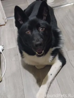 Пишу не первый и не последний....