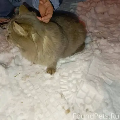 Срочно ❗❗❗ максимальный репост...